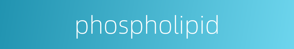 phospholipid的同义词