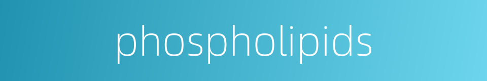 phospholipids的同义词