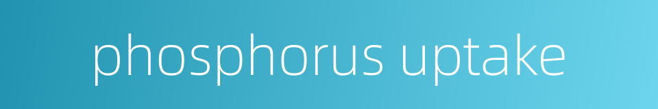 phosphorus uptake的同义词