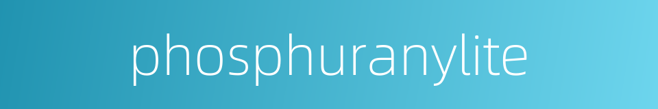 phosphuranylite的同义词