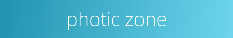 photic zone的同义词