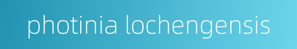 photinia lochengensis的同义词