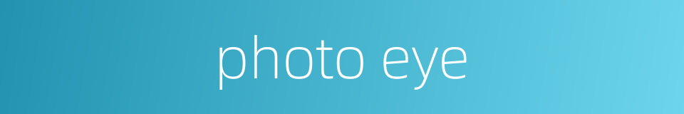 photo eye的同义词