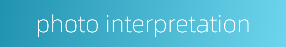 photo interpretation的同义词