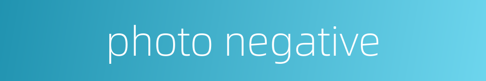 photo negative的同义词