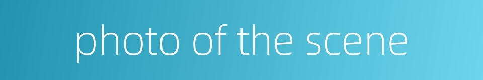 photo of the scene的同义词