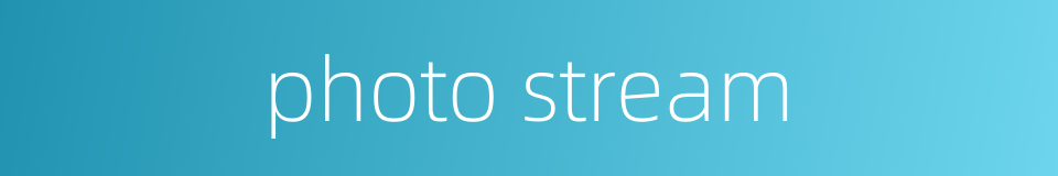 photo stream的同义词