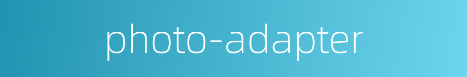 photo-adapter的同义词