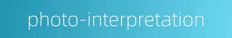 photo-interpretation的同义词