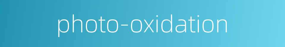 photo-oxidation的同义词