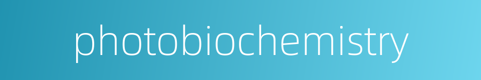 photobiochemistry的同义词