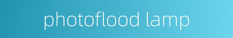 photoflood lamp的同义词