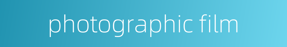 photographic film的同义词