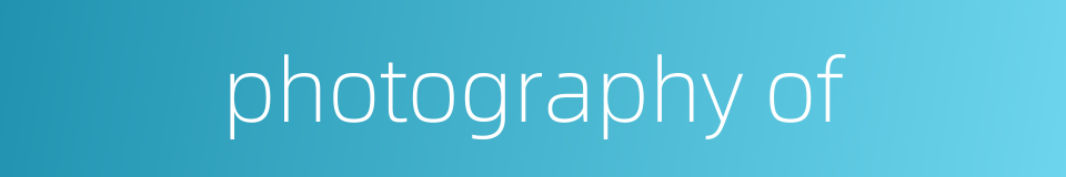 photography of的同义词