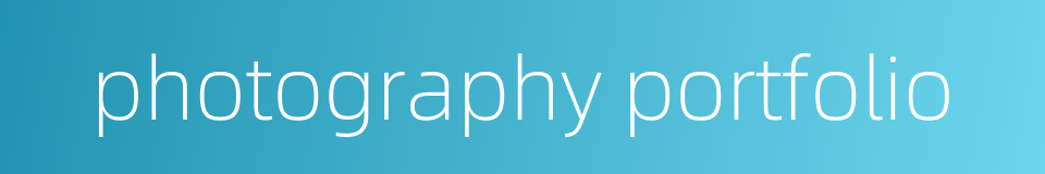 photography portfolio的同义词