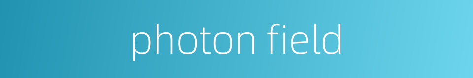 photon field的同义词
