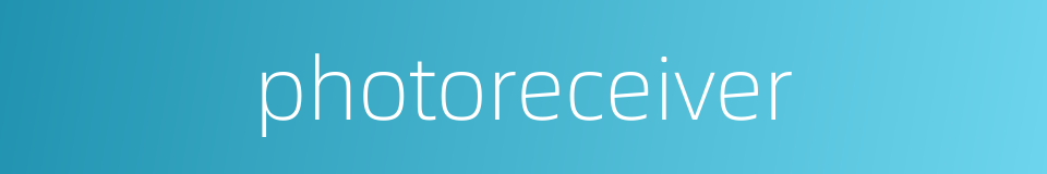 photoreceiver的同义词