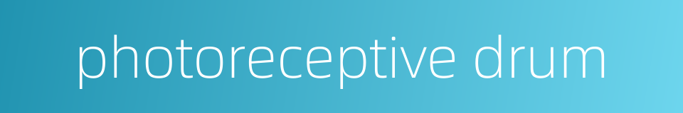 photoreceptive drum的同义词