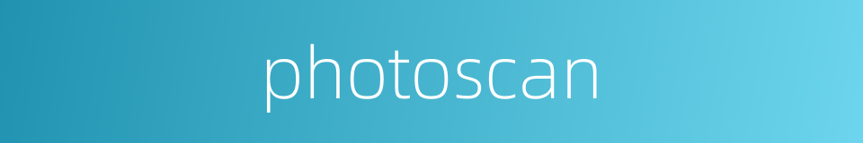 photoscan的同义词