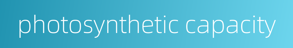 photosynthetic capacity的同义词