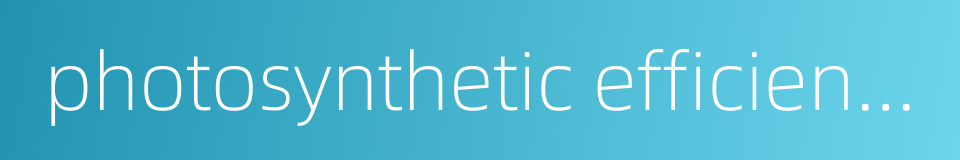 photosynthetic efficiency的同义词