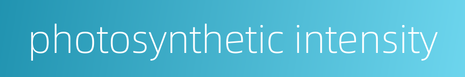 photosynthetic intensity的同义词