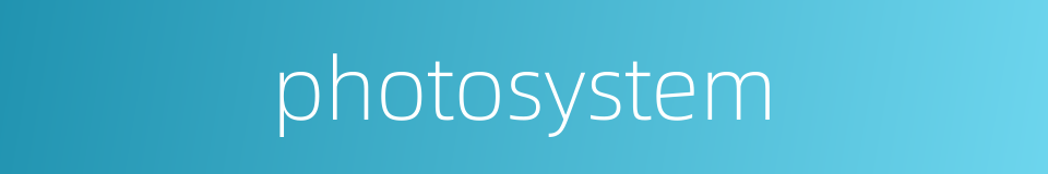 photosystem的同义词