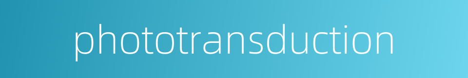 phototransduction的同义词
