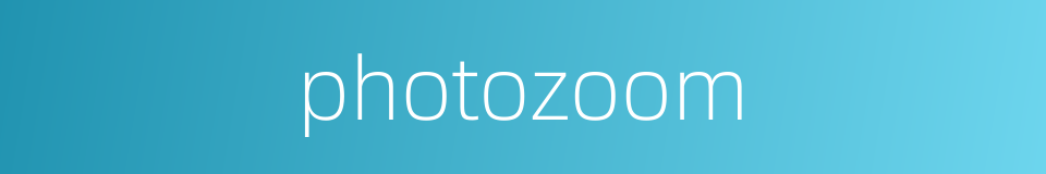photozoom的同义词