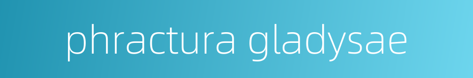 phractura gladysae的同义词
