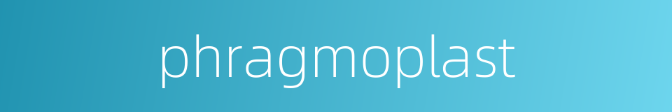 phragmoplast的同义词