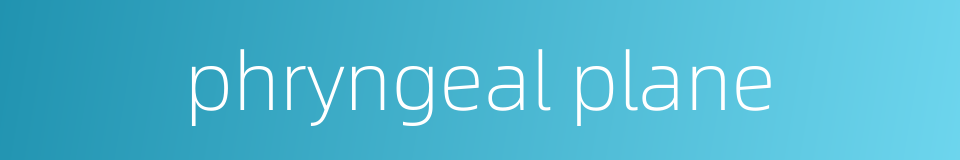 phryngeal plane的同义词
