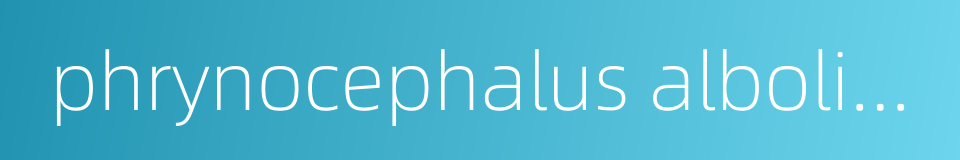 phrynocephalus albolineatus的同义词