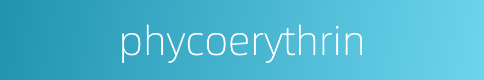 phycoerythrin的同义词