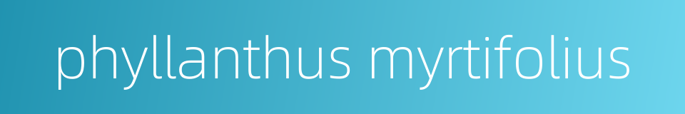 phyllanthus myrtifolius的同义词