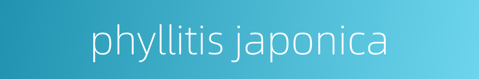 phyllitis japonica的同义词