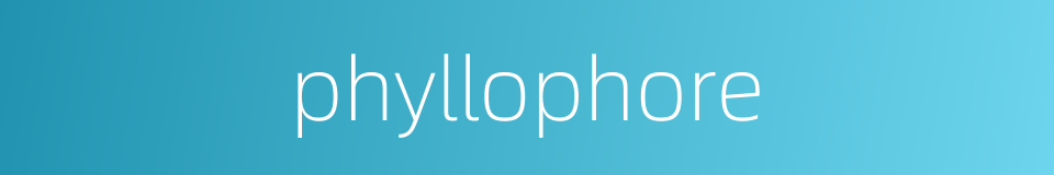 phyllophore的同义词