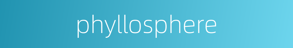 phyllosphere的同义词