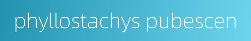 phyllostachys pubescen的同义词