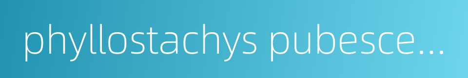 phyllostachys pubescens的同义词