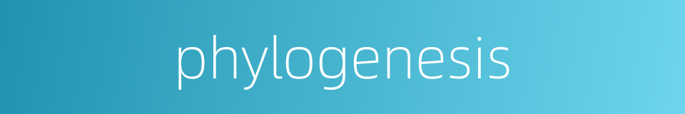 phylogenesis的同义词