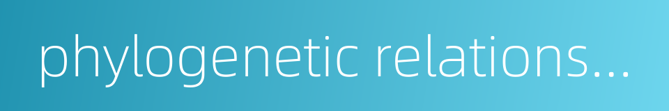 phylogenetic relationship的同义词