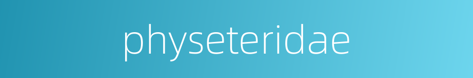 physeteridae的同义词