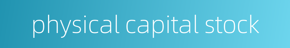 physical capital stock的同义词
