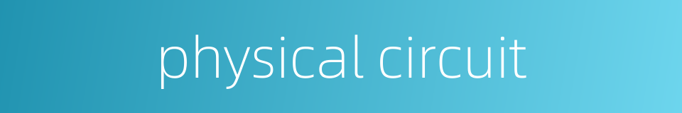 physical circuit的同义词