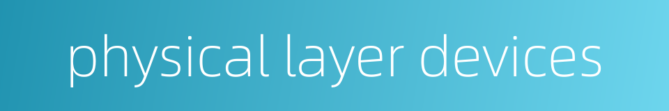 physical layer devices的同义词