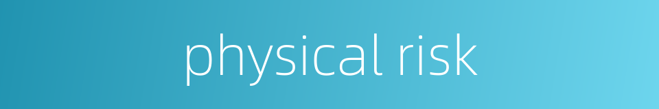 physical risk的同义词