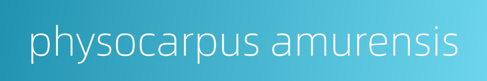 physocarpus amurensis的同义词