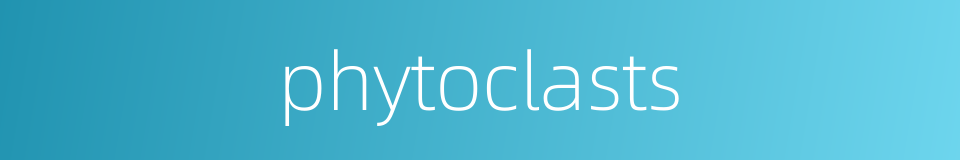 phytoclasts的同义词