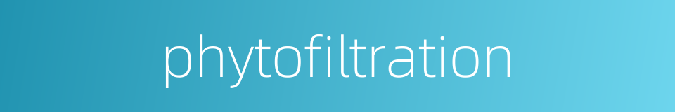 phytofiltration的同义词